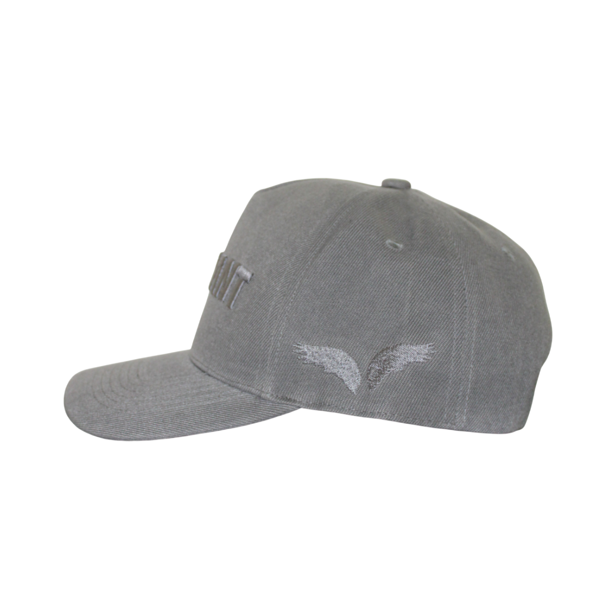 BASEBALL CAP (GREY)